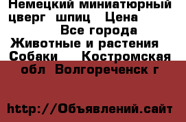 Немецкий миниатюрный(цверг) шпиц › Цена ­ 50 000 - Все города Животные и растения » Собаки   . Костромская обл.,Волгореченск г.
